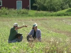 Farmer and agricultural consultant in field of GMO soybeans Stock Footage
