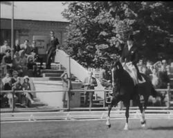 SPORTS REVIEW OF THE YEAR News Clip