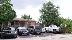 CLEAN : Miami's mosquito inspectors race to contain Zika virus News Clip