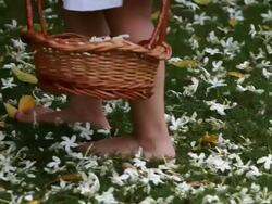 Girl holding a wicker basket and walking in the garden  Stock Footage