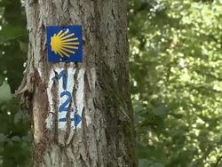 MS Sign of Way of St. James / Tawern near Trier, Rhineland-Palatinate, Germany Stock Footage