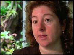 Frogs star of the show in New York News Clip