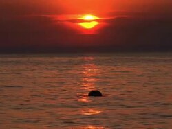 HD: Diving At Sunset Stock Footage