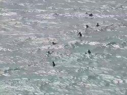 AERIAL WS Surfers in ocean, off west coast of Parque Natural de Sintra-Cascais / Cascais, Lisbon, Portugal Stock Footage