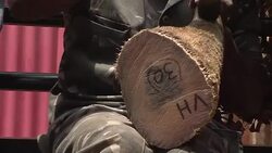 CLEAN : Protecting the worlds rhinos by chopping off their horns News Clip