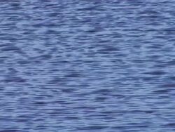 Lake Stock Footage