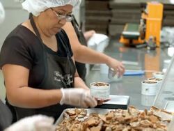 MS TD  toffee bark picked from fresh pile and packed into tin cans while toffee canned weight is measured on scale by women workers wearing hair nets and gloves / Rancho Mirage, California, USA Stock Footage