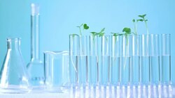 analysis vegetable in laboratory Stock Footage