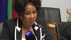 CLEAN: Mandela fine after minor diagnostic procedure: minister News Clip