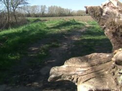 Government Announces New Planning Laws News Clip