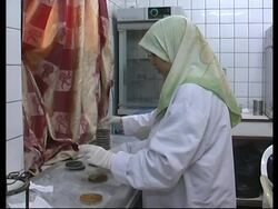 Iraq confirms cholera outbreak south of Baghdad Instructional Video