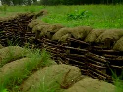 DS LA World War One trench / Bayernwald Trenches, Belgium Stock Footage