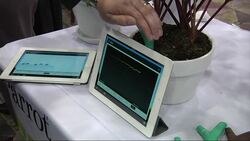 Flower Power gadget helps plants live longer News Clip