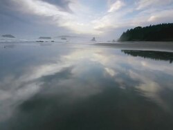 WS POV View of beach / Bandon, Oregon, United States Stock Footage