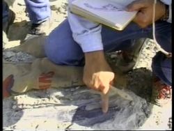 USA: SCIENTISTS RECREATE THE NOISE OF THE DINOSAURS Instructional Video