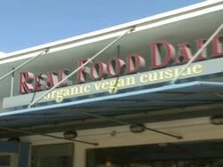 Celebrity Save The Seal Day: Press Conference Hosted by Celebrities Against The Seal Hunt Stock Footage