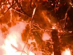 HD: Fire in the night Stock Footage