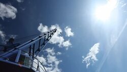 Crane in the back light - Time Lapse Stock Footage