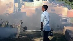 VOICED : Temor ante el zika y su nexo con microcefalia en bebes News Clip