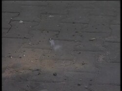 UN school a'math, displaced, Khan Younis, Rafah Instructional Video