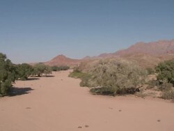 Desert Elephant (Loxodonta africana) habitat, Ugab River Basin, Namibia: desert-dwelling population of African Bush Elephant though not distinct subspecies Stock Footage