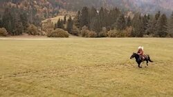 AERIAL Woman riding a galloping horse across a meadow Stock Footage