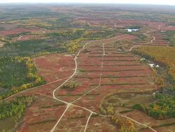 WS ARIEAL DS View of Wooded area with autumn color at islands / Maine, United States Stock Footage