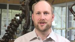 SCIENTISTS DISCOVER OLDEST COUSIN TO THE DINOSAUR! Instructional Video