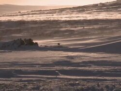 Wind blowing across icy landscape, Dartmoor, UK Stock Footage