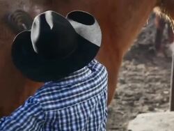 MS PAN TU TD Cowboy dusting off horse and boy comes to help they begin to saddle horse by barn / Kirkland, Arizona, USA  Stock Footage