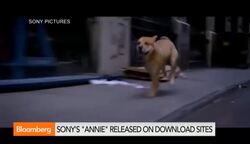 North Korean Fingerprints Found in Sony Hack? News Clip