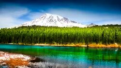 Washington State, Mt Rainier, park Stock Footage