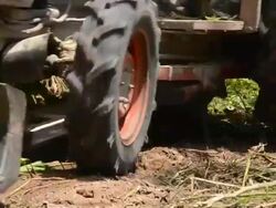 Deforestation for Agricultural Area Stock Footage