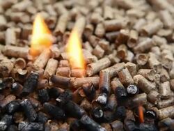 Wood Pellets Burn as an Alternative Heat Source Stock Footage
