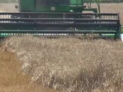 Farming Stock Footage