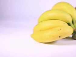 HD Dolly:bananas Stock Footage
