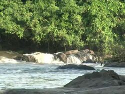 A waterfall in the river Stock Footage
