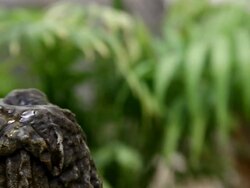 Water Volcano Stock Footage