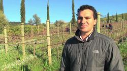 VOICED : Classical music adds delicate notes to South African wine News Clip