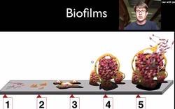 Biotic and Abiotic Factors Instructional Video