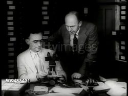 Bureau of Ent. Florala beetle Instructional Video