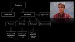 Reversible Reactions Instructional Video