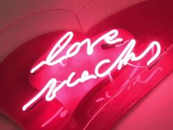 Max Wiedemann Stock Footage