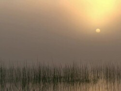 WS View of dramatic sunset as fog settles over large pan / Okavango Delta, North-West District, Botswana Stock Footage