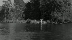 1960 PAN Branches of a river / United Kingdom Stock Footage