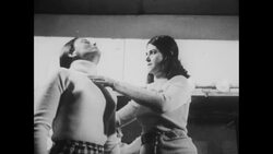 News Item (d8d3882f-f36c-2f44-74d6-bb77d1e71b5e) News Clip