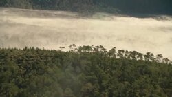 Fog settles in a mountain valley. Stock Footage