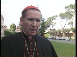 Adds more Cardinal comment following Vatican child abuse meeting News Clip
