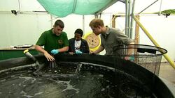 Prince Harry inspecting community angling centre News Clip
