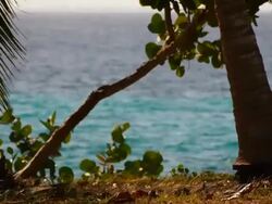 Saturated blue sea at diving spot, Cuba Stock Footage